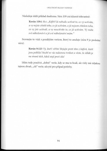 Náhled Politický islám