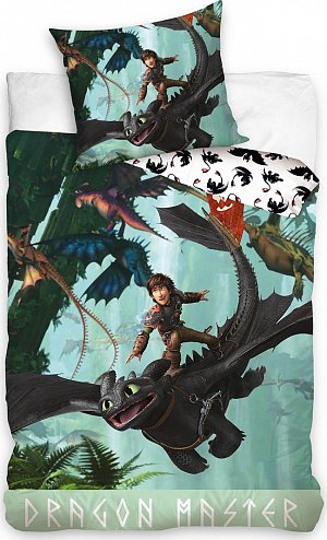Dětské povlečení Jak Vycvičit Draka Bezzubka a Škyťák