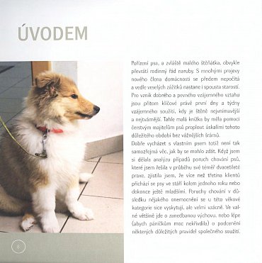 Náhled Od štěněte ke psu - Jak nenásilně vychovat skvělého společníka