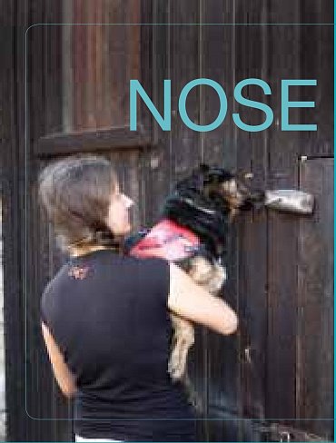 Náhled Nosework - Práce i zábava nejen pro psí nos