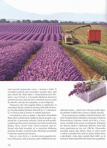 Náhled Levandule - Recepty, návody a tipy pro pěstování, výrobu domácí kosmetiky, tvoření dekorací a vaření s levandulí