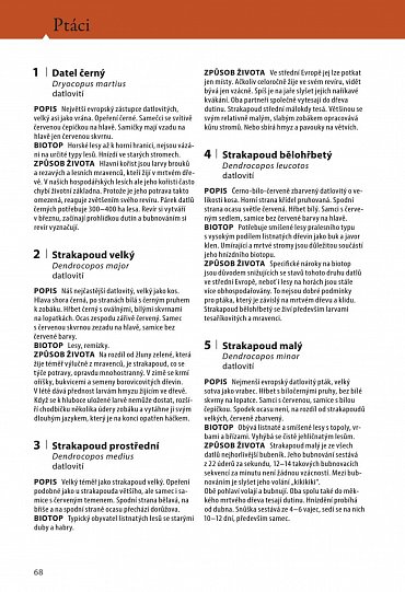 Náhled Velký průvodce lesem