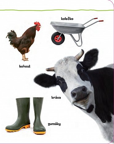Náhled Podívej! Co je to? Život na statku