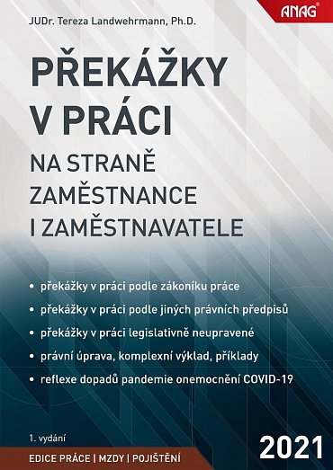 Náhled Překážky v práci na straně zaměstnance i zaměstnavatele