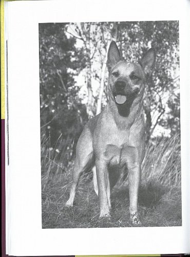 Náhled V životě je spousta věcí zadarmo