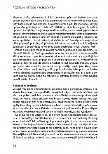 Náhled Pozitivní metody výchovy psa