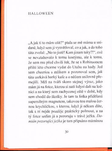 Náhled A nakonec Vánoce