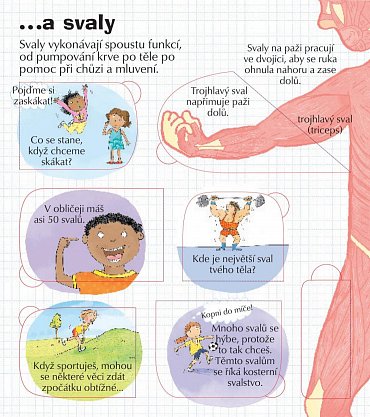 Náhled Podívej se do svého těla - více než 100 odklápěcích okének