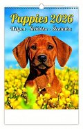 Kalendář nástěnný 2026 - Puppies/Welpen/Štěňátka/Šteniatka