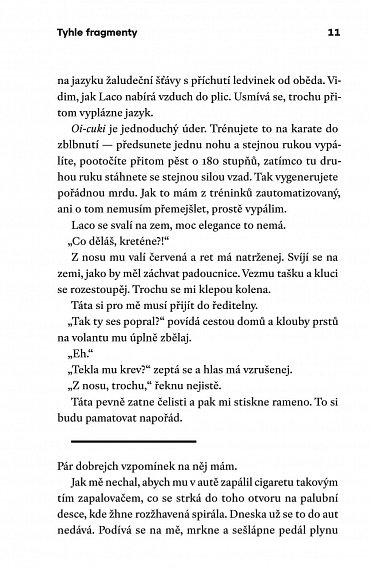 Náhled Tyhle fragmenty