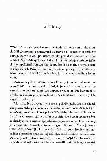 Náhled Brány radosti - 19 meditací pro autentický život