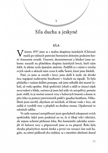 Náhled Jeskyně a kosmos - Šamanská setkání s jinou realitou