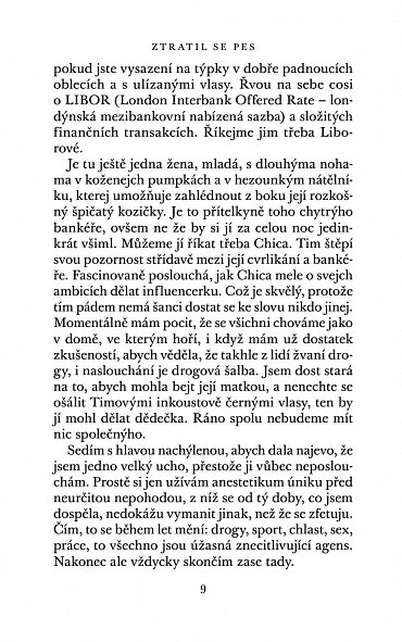 Náhled Ztratil se pes