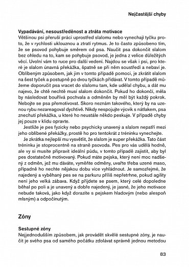 Náhled Agility pro pokročilé