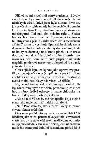 Náhled Ztratil se pes