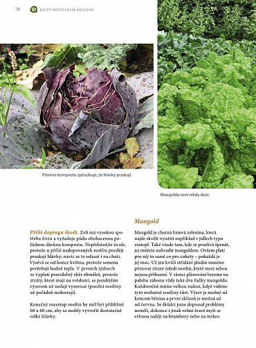 Náhled Jak se žije u Wohllebenů - Samozásobitelství v praxi