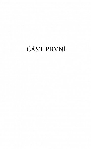 Náhled Kam včely chodí spát