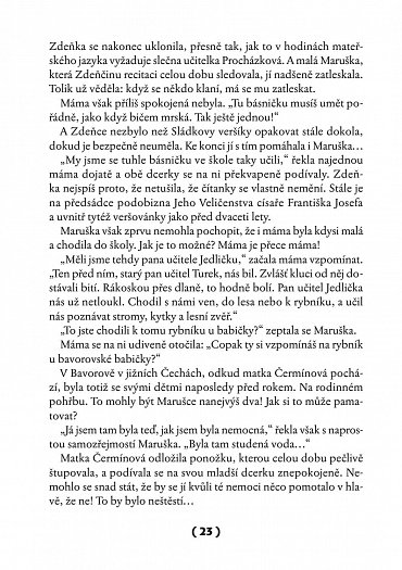 Náhled To je on! O té, co si říkala Toyen