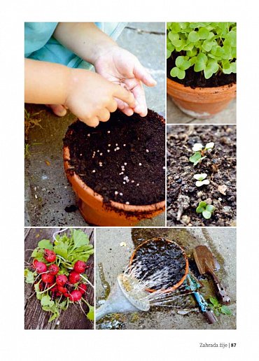 Náhled Zahrada žije - Zahradničíme s dětmi, 2.  vydání