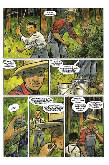 Náhled Pochmurný kraj 3 - Hadilovka