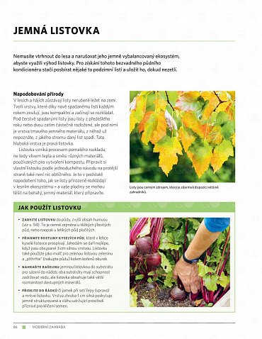 Náhled Moderní zahrada