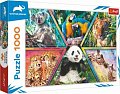 Trefl Puzzle Animal Planet: Království zvířat/1000 dílků