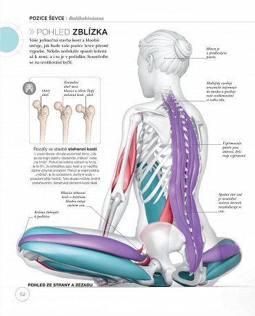 Náhled Jóga z pohledu anatomie