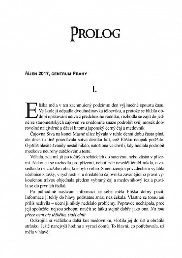 Náhled Pragocalypsa 5 - Soudný den