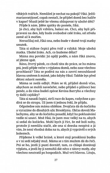 Náhled Andělin popel, 3.  vydání