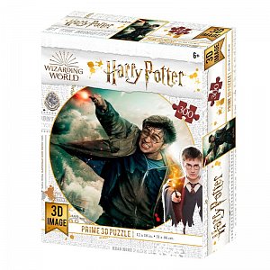 Harry Potter 3D puzzle - Harry Potter 300 dílků