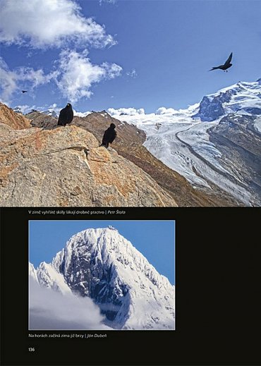 Náhled Prchavé okamžiky přírody - Fotoaparátem od jara do zimy