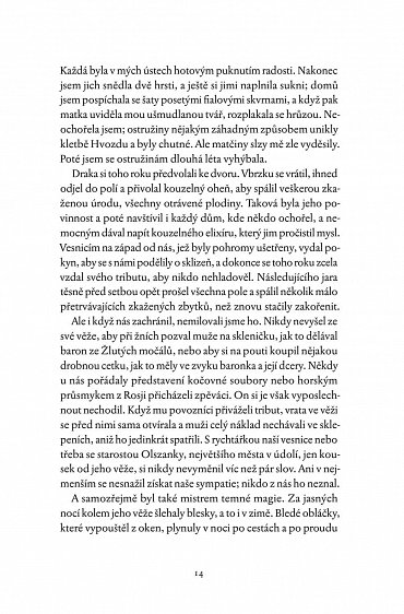 Náhled Ve stínu Hvozdu