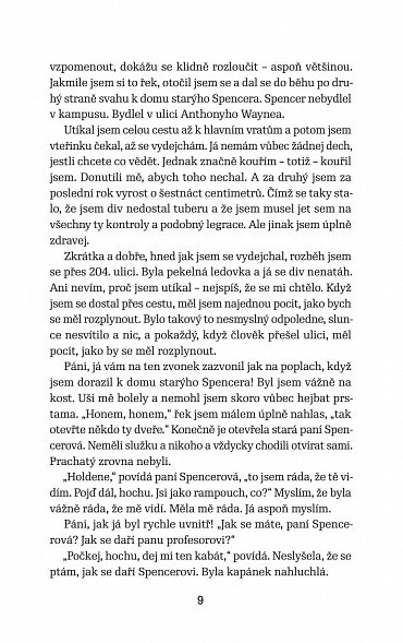 Náhled Kdo chytá v žitě