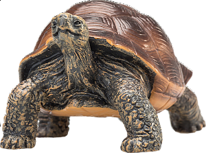 Želva obrovská figurka