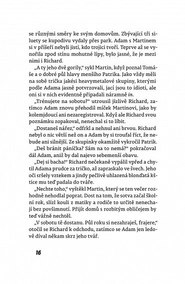 Náhled Každý má svou lajnu - O florbalu, prvních láskách a ceně vítězství