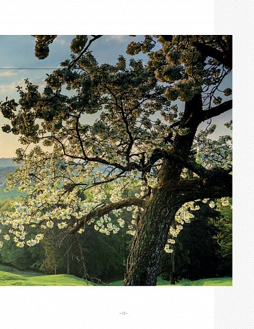 Náhled Vše jenom ne tradiční - Neobjevená Evropa