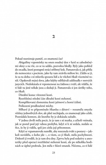 Náhled Žena bez minulosti