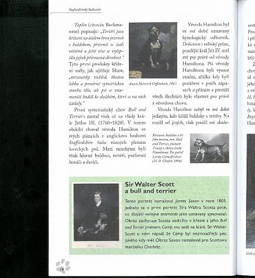 Náhled Stafordšírský bulteriér - Úplný přehled plemene