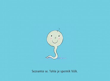 Náhled Kam odplaval Vilík...