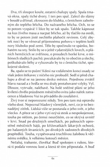 Náhled Ryba a hvězda