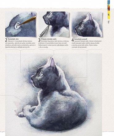 Náhled Techniky akvarelu