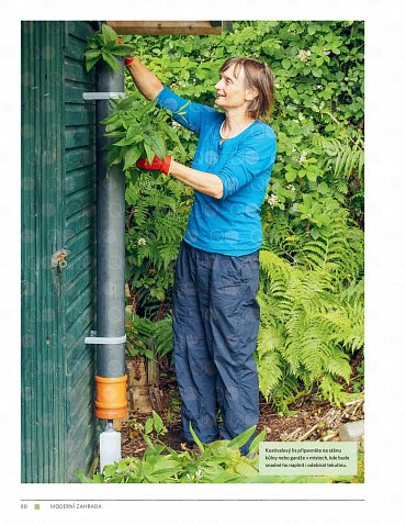 Náhled Moderní zahrada