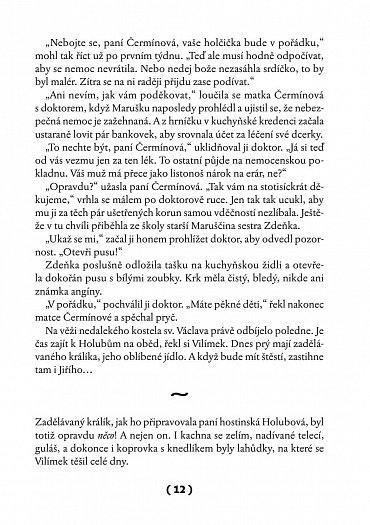 Náhled To je on! O té, co si říkala Toyen