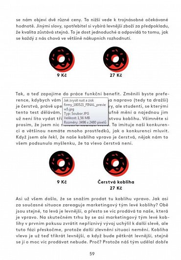 Náhled Zvyšte obrat a zisk firmy metodou Profitbooster