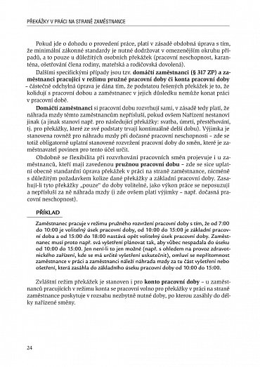 Náhled Překážky v práci na straně zaměstnance i zaměstnavatele