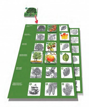 Náhled Pexetrio - Stromy