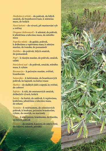 Náhled Tradiční svátky a recepty ze šumavské vesnice