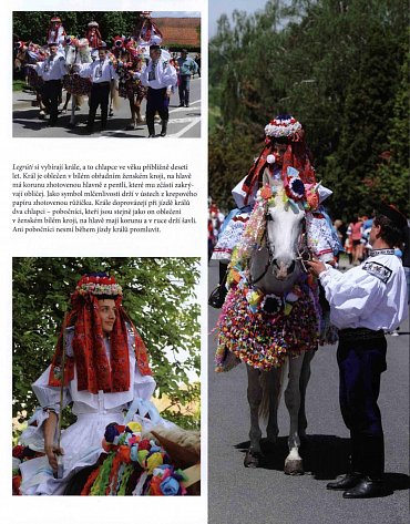 Náhled Koně pro krále