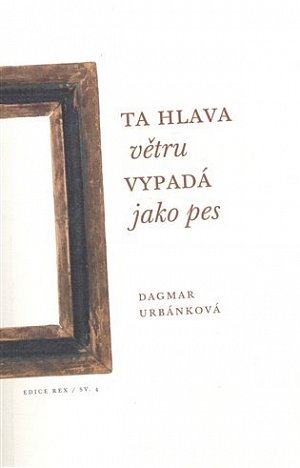 Ta hlava větru vypadá jako pes