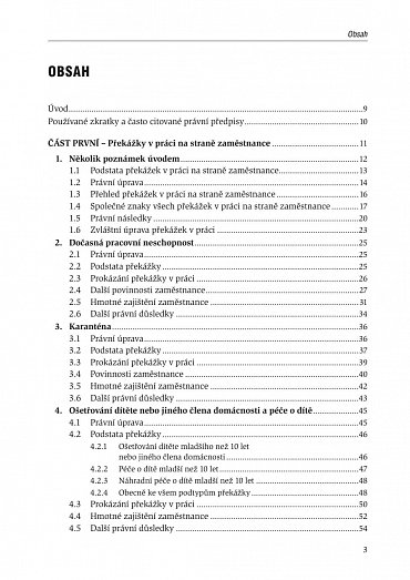 Náhled Překážky v práci na straně zaměstnance i zaměstnavatele
